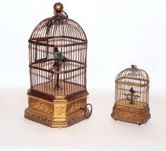 Bird In A Gilded Cage Book Singing Automaton Birds In Gilded Cages Bird Cage Bird Boxes