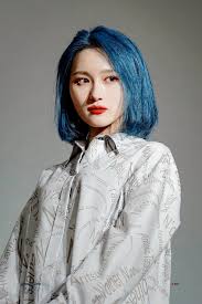 Pin By Boredmochi On Pretty Kpop Idol Pics Dream Catcher Dream Catcher White Blue Hair