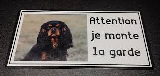 Acheter Panneau Attention Chien Impression Photo Plaque Chien Attention Au Chien Chien Impression Photo