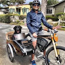 Image result for bicycle sidecar