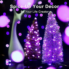 Maybe you would like to learn more about one of these? Blingstar Fairy Lights 2 Pack Purple Christmas Lights 33ft 100 Led String Lights Usb Powered Fairy String Lights Firefly Lights For Kids Room Dorm Wall Christmas Tree Table Crafts Indoor Decoration Pricepulse