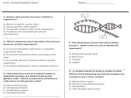 Navigation student exploration rna and protein synthesis answer key student exploration rna and protein synthesis answers that also made it easier for the rescuers. Question What Must Occur First In Order For Dna To Replicate A Helicase Must Break Hydrogen Bonds And Split Dna B Polymerase Pairs Missing Nucleotides Ppt Download