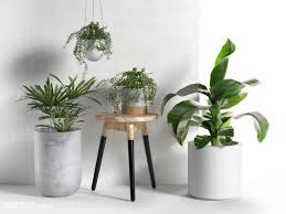 3d Plant Model 75 Free Download Plants 3d Model Free Plants
