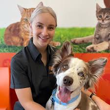Pets and vets vic park. About Us Lathlain Veterinary Clinic