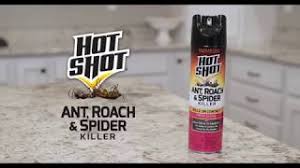 Jan 02, 2021 · this is hands down the best ant trap money can buy if you are looking to get rid of ants quickly and effectively. Ant Roach Spider Killer Fresh Floral Scent Aerosol Hot Shot