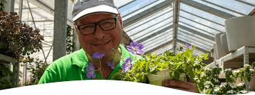 Für sträucher und bäume ist jetzt ideale pflanzzeit, da der boden gut durchfeuchtet ist. Erwins Gartenschule Bio Blumengartnerei Seidemann