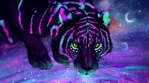 Black Tiger 1080p 2k 4k 5k Hd Wallpapers Free Download Wallpaper Flare See more awesome tiger wallpaper, black tiger wallpaper, purple tiger wallpaper, colorful tiger wallpapers, cool tiger wallpapers, snow looking for the best crouching tiger wallpaper? black tiger 1080p 2k 4k 5k hd