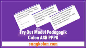 Bahasa indonesia mempunyai kedudukan yang sangat penting dalam kehidupan bangsa dan negara, indonesia. Try Out Disertai Jawaban Modul Pedagogik Pembelajaran 1 7 Seri Guru Belajar Mandiri Calon Guru Asn Pppk Sangkolan