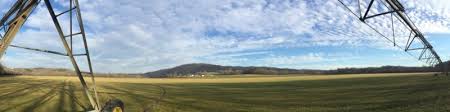 Skyvector is a free online flight planner. Tilena Taylor Inside Sales Associate Patten Seed Company Super Sod Linkedin