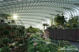 Gardens By The Bay Singapore Gardens By The Bay Singapore Tourist Spots Singapore