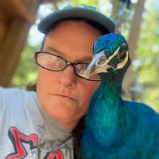 Where to find peahens in Oklahoma?