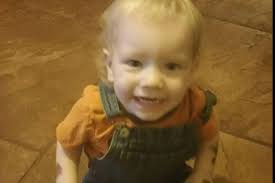 Fundraiser for Ashley Timmons by melanie timmons : HELP LAY AXEL TO REST