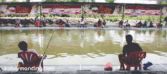 Lembah Desa Untuk Kepuasan Pecinta Galatama Patin Pertama Di Jogja Kabar Mancing