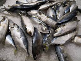 Zat satu ini juga dapat melindungi anak dari beragam penyakit seperti. 7 Jenis Ikan Yang Kaya Omega 3
