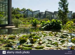 Hier finden sie informationen zu öffnungszeiten, eintrittspreisen, führungen, mietbaren räumen sowie wissenswertes und amüsantes. Palmengarten Botanischer Garten In Frankfurt Tropicarium Und Skyline Von Frankfurt Am Main Deutschland Stockfotografie Alamy