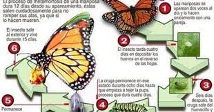 Pin En School Ambientacion Del Salon