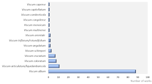 Image result for Viscum combreticola