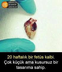 Fatmanur Ulger Ozcelik Adli Kullanicinin Bilgiler Panosundaki Pin Bilgi Karti Bilgi Alintilari Gizli Bilgi