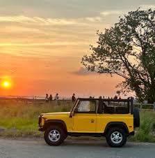 Image result for Safety Yellow 1995 Fleet