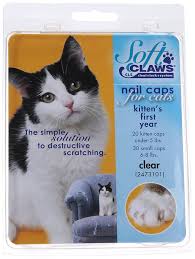 Soft Claws Nail Caps For Cats Kittens First Year Package Clear Details Can Be Found By Clicking On The Image This Is An A Soft Claws Soft Paws Nail Caps