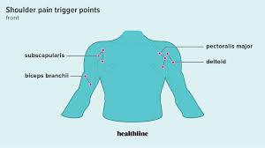 Back muscles , upper extremity muscles, lower extremity muscles. Frozen Shoulder Massage Trigger Points 10 Recommended Stretches