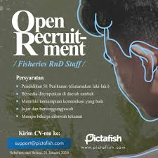 Temukan info lowongan pekerjaan menarik dan terbaru agustus 2021 di depok hanya di jobs.id. Infomina Lowongan Kerja Perikanan Di Pictafish