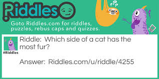 What side of the cat has the most fur? Animal Ones Riddles Com