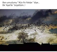 Sahin Adli Kullanicinin Guzel Sozler Panosundaki Pin Firtinalar Gocmen Kuslar Cizim