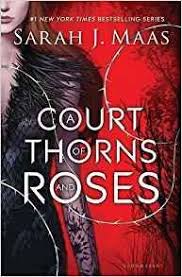 Sarah J Maas A Court Of Mist And Fury Pdf Pin On Ebook