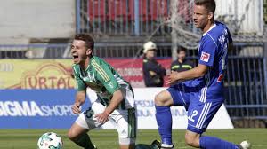 Kvitova, 26, said she was fortunate to be alive following a burglary incident on tuesday when she struggled with an intruder. Dloubak Vladimira Dubskeho Dojata Lvice Ktera Nerada Remizuje Klokan Ktery Nedoskocil A Zlomeni Slovaci Hospodarske Noviny Ihned Cz