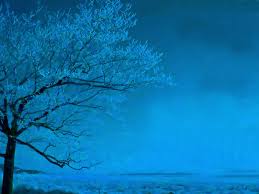 Maybe you would like to learn more about one of these? Blue Trees Wallpapers Top Free Blue Trees Backgrounds Wallpaperaccess