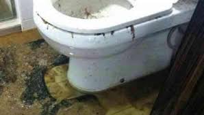 There dun seem like got a draining hole for the bathing leh. Couple S Sewage Disaster In New Punggol Bto Flat Explodes Online Singapore News Top Stories The Straits Times