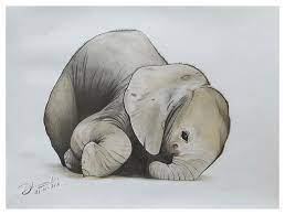 Drawing elephants colorful elephants colorful drawing colorful elephants drawing symbol icon cartoon element decoration decorative background animal sketch color ornament cute decor outline zebra drawing colorful handdrawn sketch. Baby Elephant Realistic Color Pencil Sketch Drawing By Sketches In
