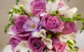 In tema di auguri alla persona che si ama, le rose sono un'autentica certezza. Fiori Compleanno Regalare Fiori Quali Fiori Scegliere Per Il Compleanno