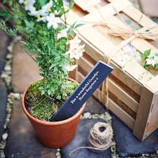 Various folk cultures and traditions assign symbolic meanings to plants. Jasmine The Flower Of Memories Gift By The Gluttonous Gardener Notonthehighstreet Com