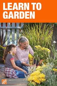 Garden Club The Home Depot Hybrid Tea Roses Veg Garden Planting Succulents