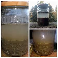 Analyser Soi Meme Sa Terre De Jardin Le Test Du Bocal Miaouzdays