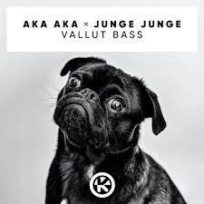 Aka is listed in the world's largest and most authoritative dictionary database of abbreviations and acronyms. Aka Aka Junge Junge Vallut Bass Haiangriff