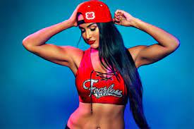WWE Divas Nude Photos & Videos (Leaked Free) - Celeb Masta