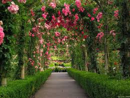 We did not find results for: 12 Beautiful Garden Hd Wallpapers For Desktop