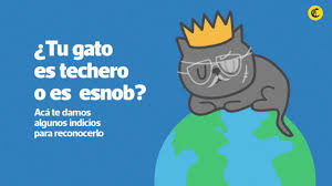 About press copyright contact us creators advertise developers terms privacy policy & safety how youtube works test new features press copyright contact us creators. Noticias Sobre Dia Internacional Del Gato El Comercio Peru