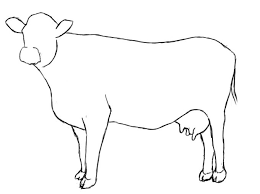 Pin On Drawing