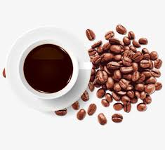Vector Coffee Cup Coffee Vector Coffee Beans Brown Png Transparent Clipart Image And Psd File For Free Download Coffee Vector Coffee Cups Dog Food Recipes