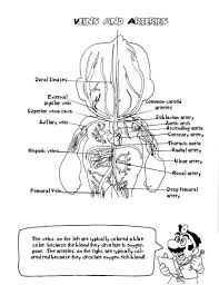 Coloring Anatomy Coloring Pages Free 6 Printable 94 Cool And Physiology Sheets Cool Free Printable Anatom Anatomy Coloring Book Coloring Pages Coloring Books