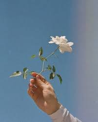 Flowers Aesthetic And Blue Image Light Blue Aesthetic Baby Blue Aesthetic Blue Aesthetic Pastel