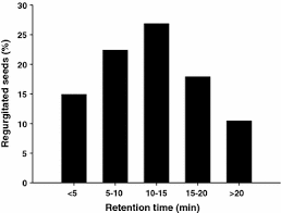 Image result for Agelanthus natalitius