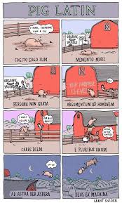 Pig Teaching Everyday Latin Expressions Pig Latin Cogito Ergo Sum Latin