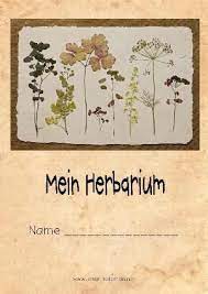 Was ist ein herbarium oder herbar? 12 Herbarium Ideen Herbarium Vorlage Gepresste Blumen Blumen Pressen