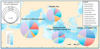 Sorry for the delay, but at least it's finally here! Water Free Full Text Who S Next Non Indigenous Cnidarian And Ctenophoran Species Approaching To The Italian Waters Html