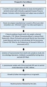Pembelajaran mahä€rah kitä€bah bahasa arab di kelas xi ipa ma 2019. Alle Kategorien Gooswiss